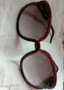 Ladies Branded Sunglasses