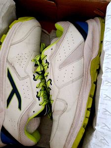 Sport Shoes