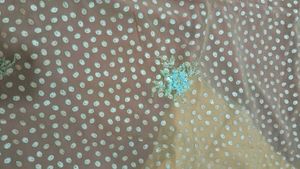 Designer Embroidered Saree