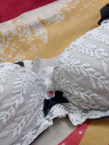Embroidered Lace Bra