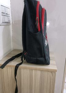 PW VidyaPeeth Branded Backpack