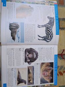 1001 Questions &amp; Answers Children's Encyclopedia