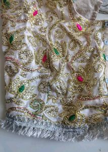 Ethnic saree and blouse