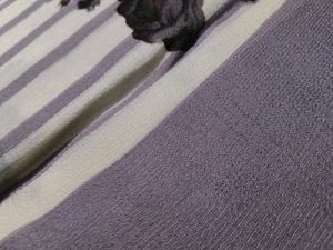 Elegant Lavender Saree with Golden Border