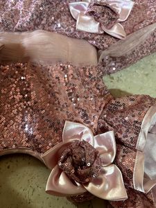 Sparkling Pink  Dress