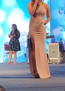 Designer Party Gown
