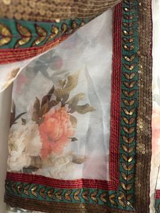 Pure Organza Saree