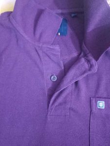 Men's Purple Polo Shirt