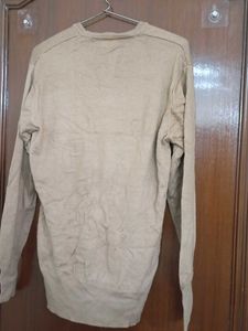 Men's Beige V-Neck Sweater