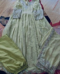 Elegant Light Green Anarkali Suit