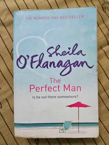 The Perfect Man