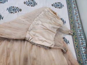 Stunning Embellished Ethnic Gown