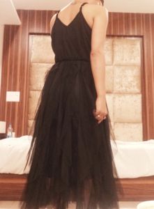 Beautiful Blank Net Dress