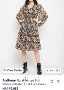 Floral Print Sheer V-Neck Midi Dress