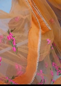 Net Embroidery Sarees