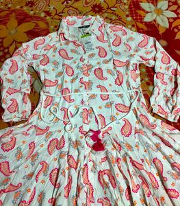 Chic Paisley Print Dress