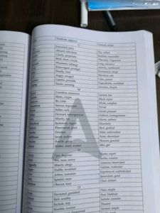 NTA CUET English Language Book