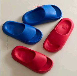 LUDIC Jamun Blue Sliders