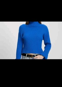 Ribbed Turtleneck Sweater savana aesthetic Pi