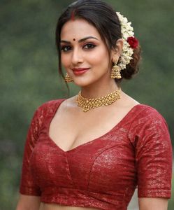 Maroon  Net blouse