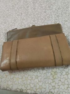 Baggit clutch