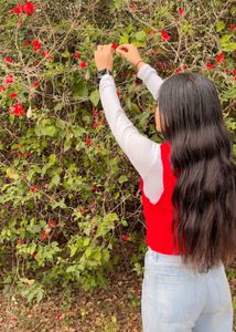 Chic Red Sleeveless Blazer Vest