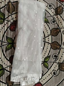 Elegant silver Sequin Dupatta