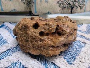 Dragon Stone for aquascaping