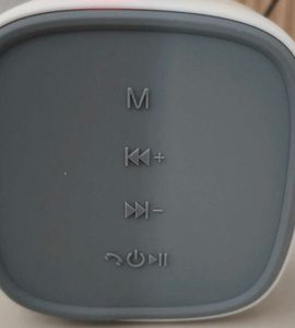 Vivo V19 Speaker Box
