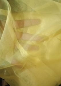 Parrot Gawn With Dupatta