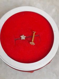 Adorable Star Stud Earrings