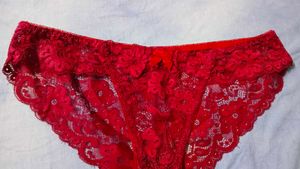 Red Lace Briefs