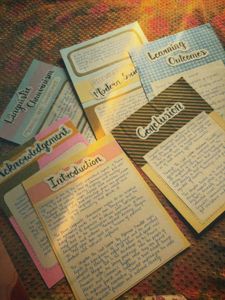 Handmade School Project Notes( any 10 paper or mor