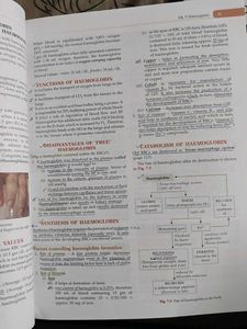 Textbook of Physiology
