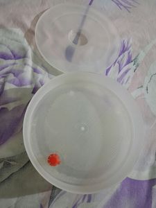 High Grade Plastic 2 Compartment Sprout Maker