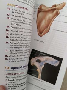 I Seeley's Anatomy and Physiology