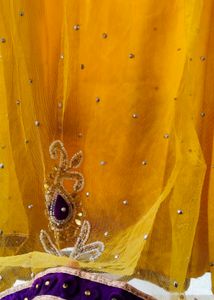 Exquisite Yellow Lehenga only