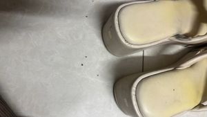 Platform Wedge Sandals