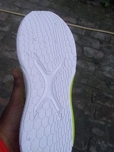GREEN And WHITE SHOE FOR MEN