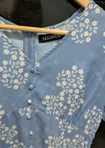 Blue Floral Print V-Neck Button-Up Dress