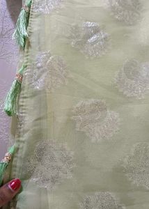 Elegant Light Green Saree