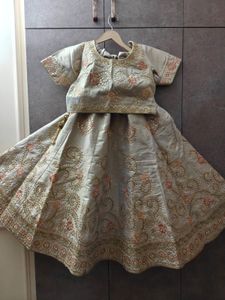 Beige Lehenga Choli Set
