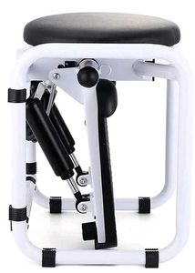 Tummy Twister + Stepper.