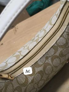 Coach Hobo Bag