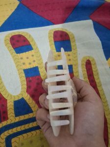 Shell Hair Clip