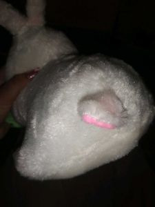 Cute Bunny Plush Toy
