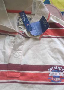 Full Sleeve Tshirt