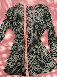 Sheer Leopard Print V-Neck Top