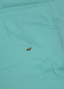 Women Straight T-Shirt