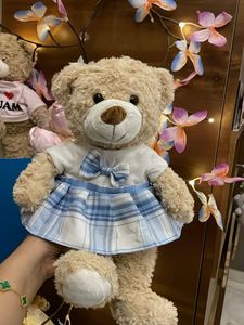 Adorable Teddy Bear with Dress
